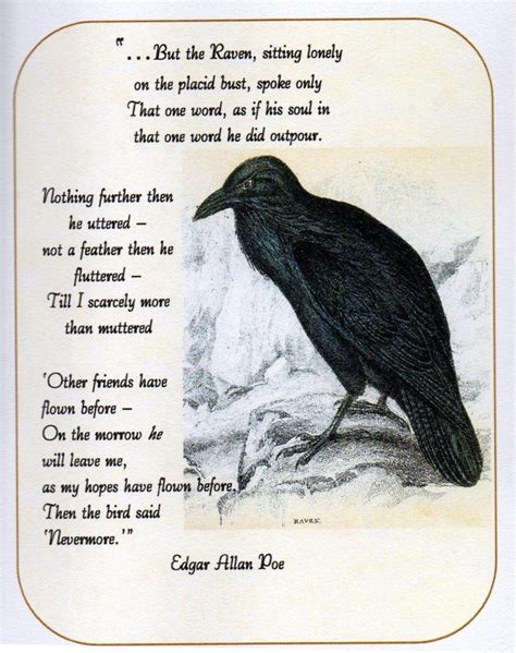The Symbolic Value of Ravens in Edgar Allan Poe's Poetry and Prose